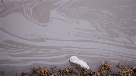 Polluants éternels un député en croisade contre le scandale