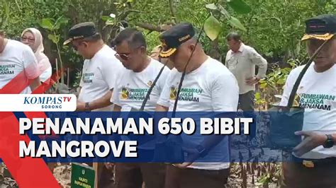 Tanam Bibit Mangrove Di Sowi Manokwari Cegah Abrasi Youtube