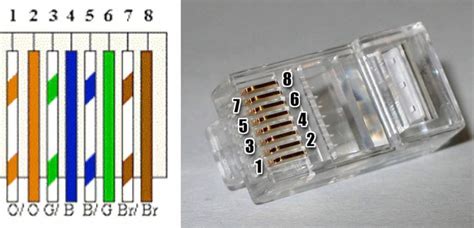 Rj45 Utp Connector Cat6 Zelf Aansluiten My Smarthomebe