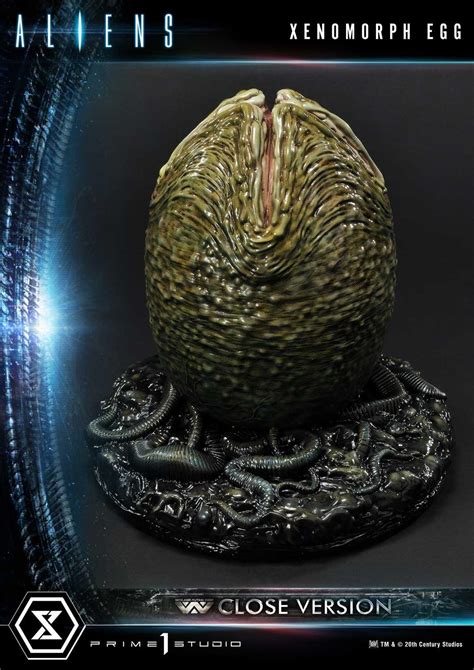 Premium Masterline Aliens Comics Xenomorph Egg Close Version