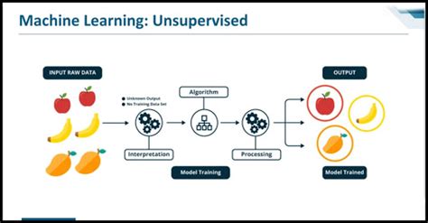 Type Of Machine Learning And What Is Unsupervised Learning