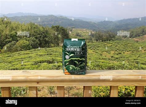 Sabah tea garden hi-res stock photography and images - Alamy