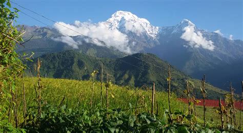 Kathmandu Bandipur Pokhara Lumbini And Chitwan Tour