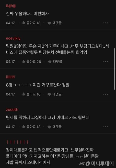 대한항공 팀 비행 3년 만에 부활승무원들 좋은 시절 갔다 머니투데이