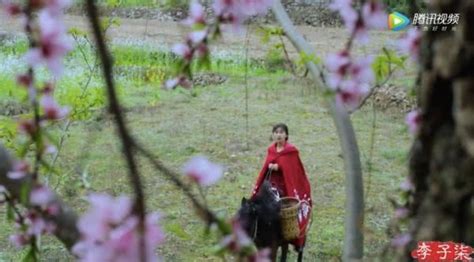 李子柒的“春日宴”，骑马踏青，取花为食，令人神往的诗意生活！