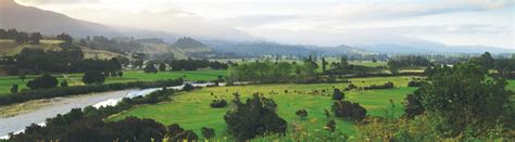 rural areas resource management reform shape tasman