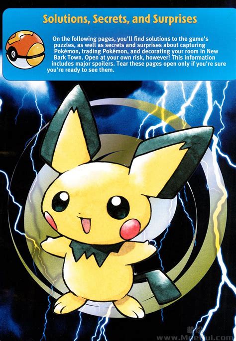 Pokemon Gold And Silver Guide P