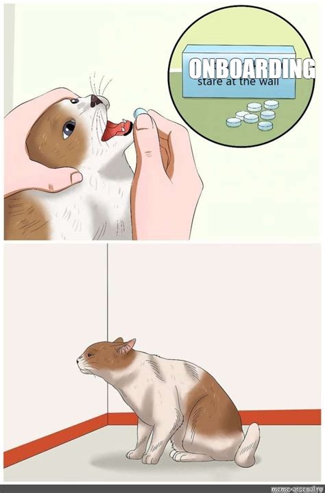 Сomics Meme Onboarding Comics Meme