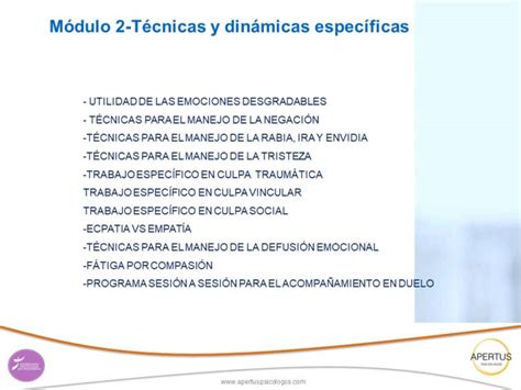 Módulo 2 Técnicas y dinámicas específicas para trabajar el duelo por