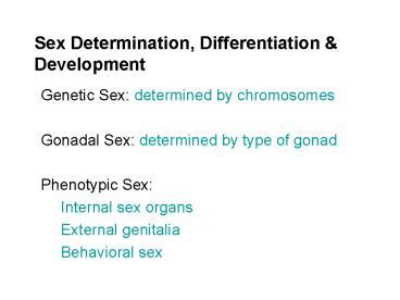 Sex Determination Differentiation Presentation Free To View