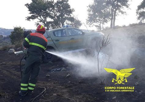 Incendio Nelle Campagne Di Pabillonis In Localit Roia Pibera Sul