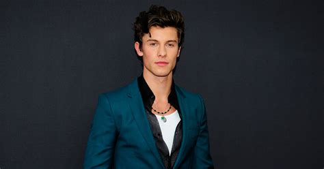 Shawn Mendes Tells Fans He S In A Relationship