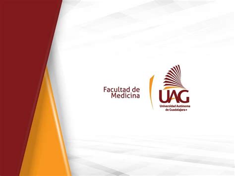 VAGINA VULVA Y GLANDULA MAMARIA Faty Castillo UDocz