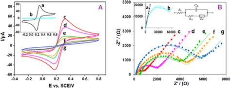 Cyclic Voltammograms A And Nyquist Plots B Reported At The Gc Download Scientific Diagram