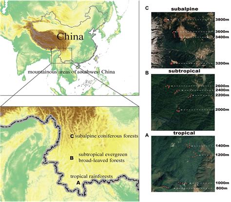 Frontiers The Spatial Patterns Of Diversity And Their Relationships