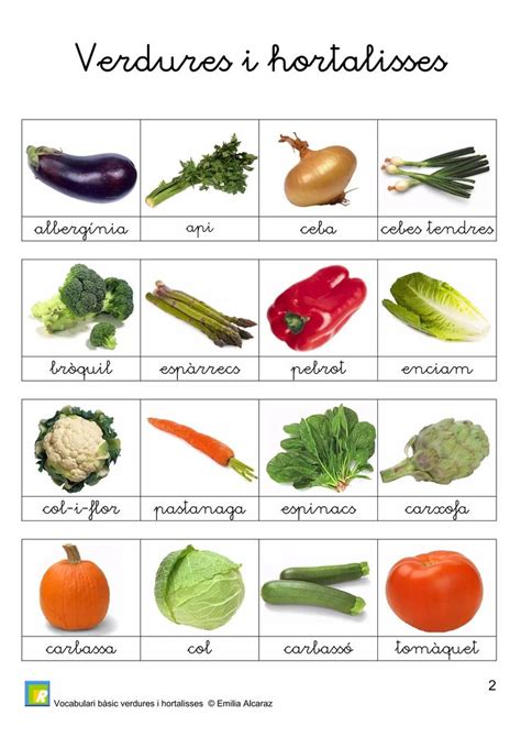 LLIBREt Vocabulari bàsic Emilia Alcaraz Name of vegetables Catalan