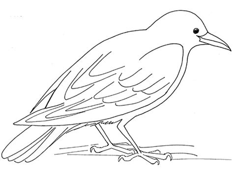 Coloriage Corbeau à imprimer sur ColoriageEnfant