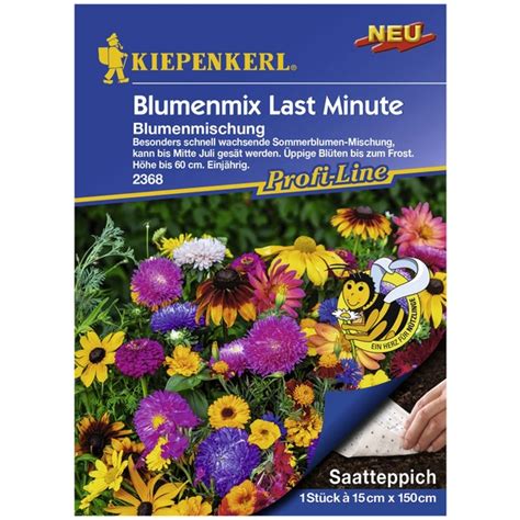 Kiepenkerl Blumenmischung Samen Blüte mehrfarbig hagebau at