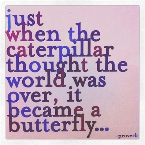 Just When The Caterpillar Thought The World Was Over It Became A Butterfly Proverb