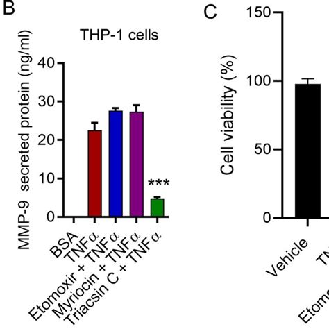 Acsl Inhibition Reduces Tnf Activated Mapk And Nf Kb Signaling