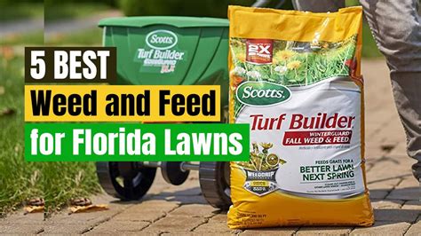 Best Weed And Feed For Florida Lawns In According To Customer