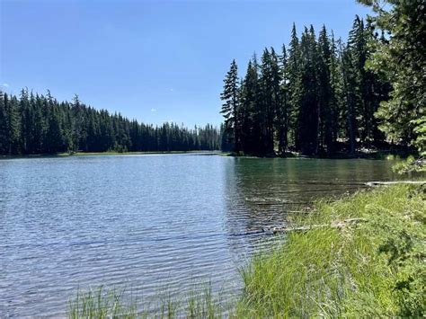 Top 10 Hikes And Walks In Waldo Lake Wilderness Komoot