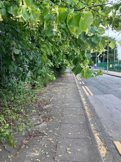 Former councillor 'narrowly avoided' man who had to walk into the road