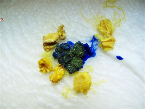 sarah roberts: Physarum polycephalum International Blue