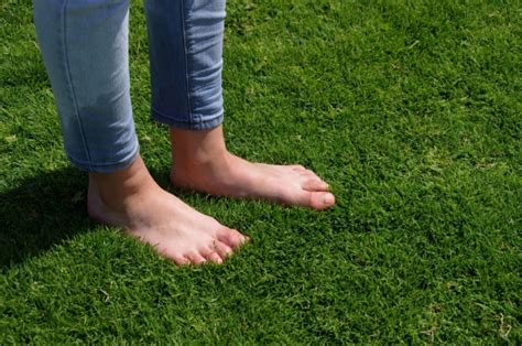 Bare Feet On Grass Free Stock Photo - Public Domain Pictures