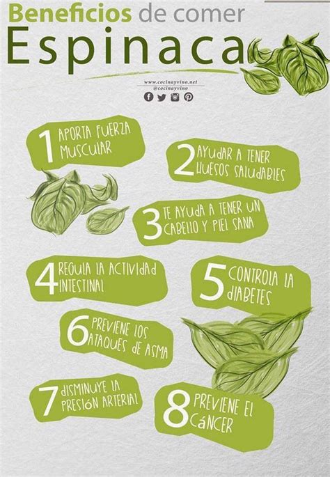 Beneficios De La Espinaca Para La Salud Estos Beneficios