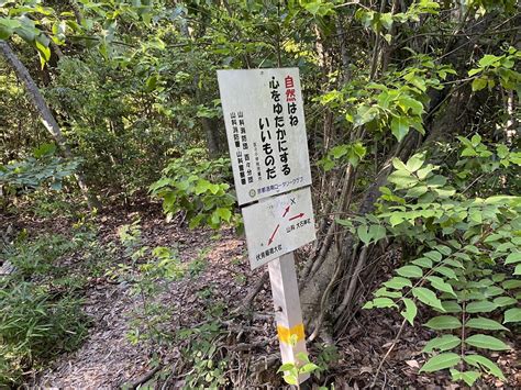 東山・清水山・清閑寺山・今熊野山・稲荷山・西野山 京都一周トレイルの写真65枚目 Yamap ヤマップ