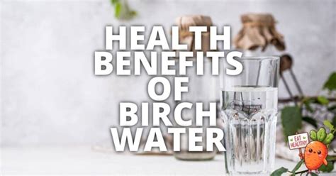 16 Potential Health Benefits Of Birch Water