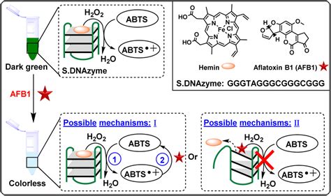 Visual Detection Of Aflatoxin B1 And Zearalenone Via Activating A New