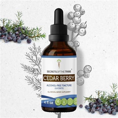 Cedar Berry Tincture Alcohol Free Extract Wildcrafted Cedar Berry