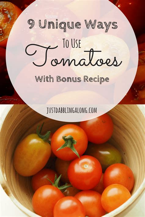 9 Unique Ways To Use Extra Tomatoes With Bonus Goat Cheese Stuffed