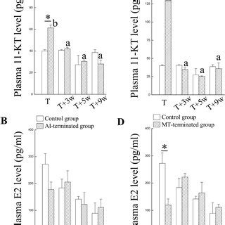 Expression Profiles Of Sex Related Genes During Sexual Fate Alternation