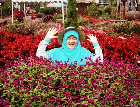 Taman Bunga Begonia Yang Menarik Untuk Dikunjungi Wisata Bandung