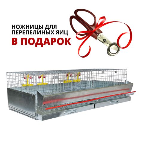 Клетка для перепелов на 50 голов 2 отсека (КП-50)