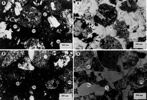 Selected Micromorphological Features A Isotropic Fine Textured