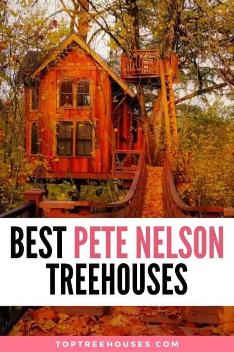 Pete Nelson Tree House Treehouse Vacations Treehouse Airbnb Adult