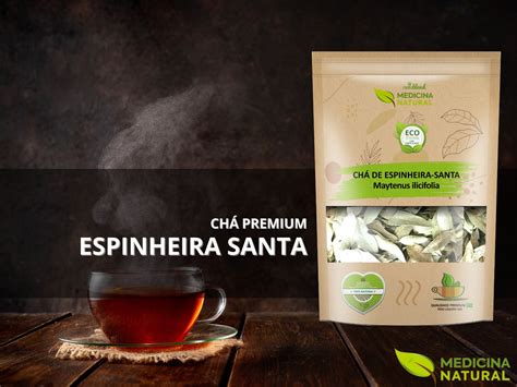 Para Que Serve O Chá Espinheira Santa - Chá de Espinheira Santa – Maytenus ilicifolia | Medicina Natural
