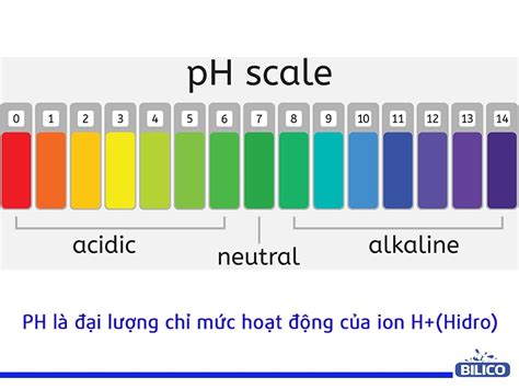 C Ng Th C T Nh Ph C Ch T Nh Ph Ra K T Qu Ch Nh X C