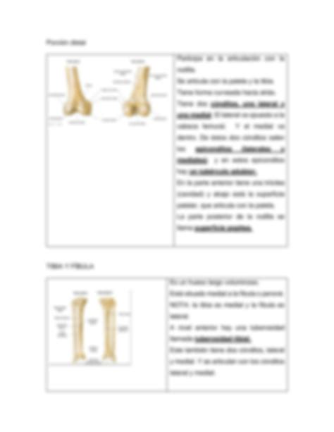 Solution Osteolog A De Extremidad Inferior Studypool