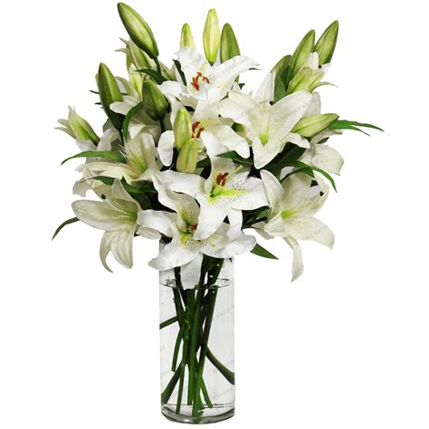 Vase Png Transparent Images Pictures Photos Png Arts