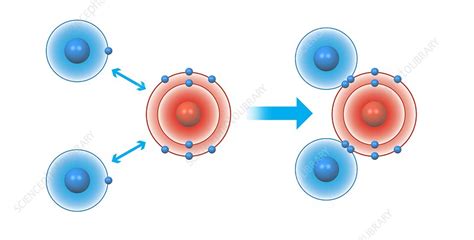 Bond Formation In Water Molecule Illustration Stock Image C040