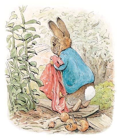 Beatrix Potter Watercolor At Paintingvalley Explore Collection Of