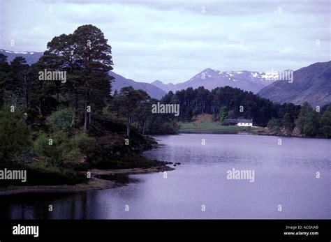 Glen Affric Lodge Hi Res Stock Photography And Images Alamy