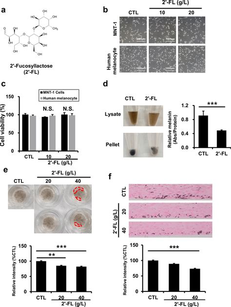 Fucosyllactose Reduces Melanin Production A Chemical Structure Of