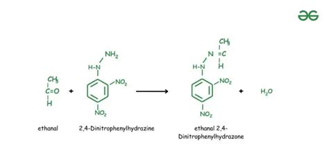 Dinitrophenylhydrazine Dnp Test Definition Synthesis And