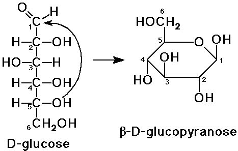 What functional groups are in glucose? | Socratic